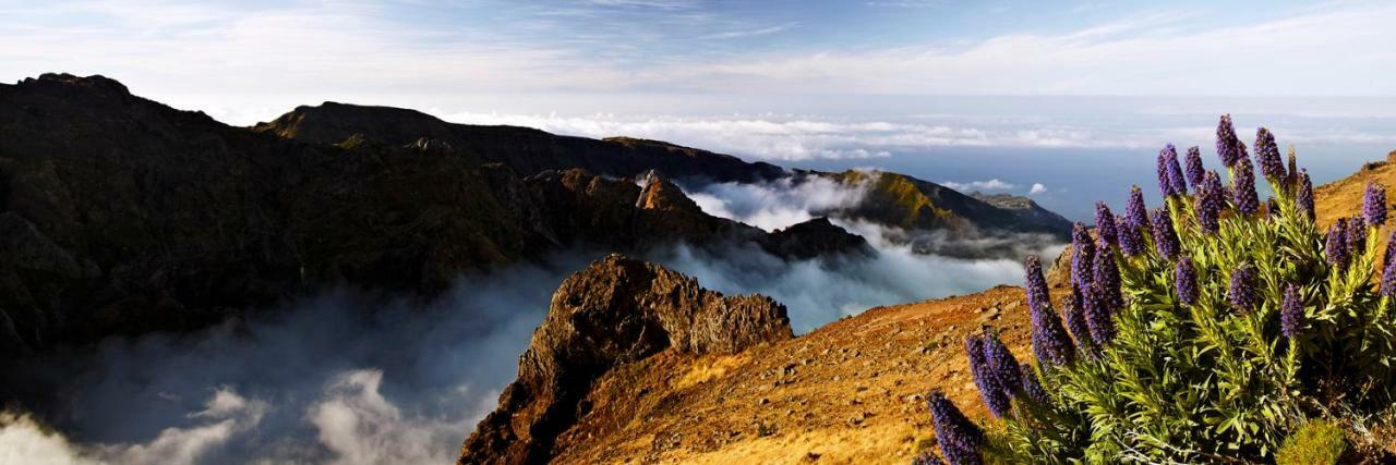 Villa Scirocco Madeira - Ocean View Machico  Exteriér fotografie